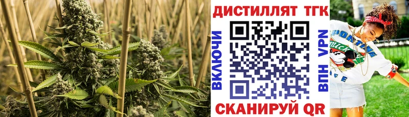 Дистиллят ТГК вейп с тгк  купить   Мамадыш 