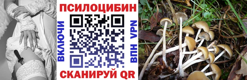 Псилоцибиновые грибы мицелий  Мамадыш 